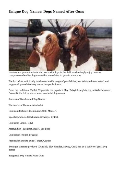 Unique Dog Names: Dogs Named After Guns