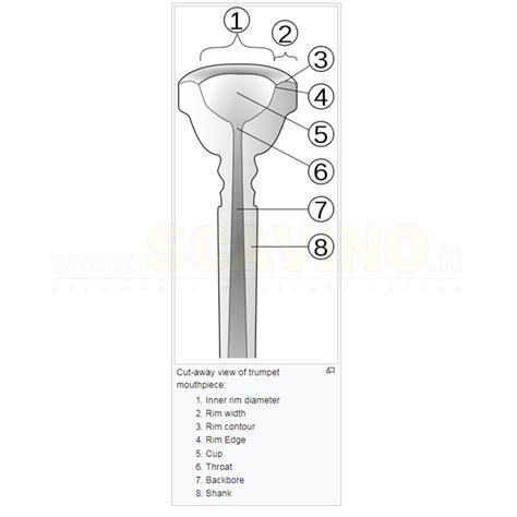 Vincent Bach 335 25 Bocchino Per Tuba Argentato Bocchini Tuba