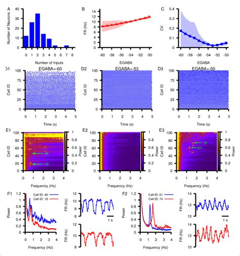 Effect Of Varying E Gaba In A Network Of Model Snr Neurons With