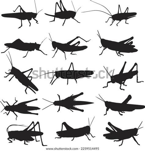 Grasshopper Silhouette Vector Art Icons Stock Vector Royalty Free 2259514495 Shutterstock