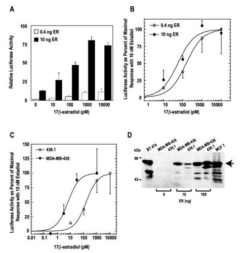 Dose Dependent Stimulation Of Luciferase Activity By Estradiol