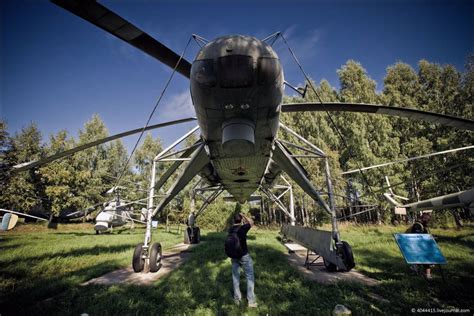 Осиное гнездо