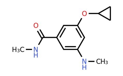 CAS 1243479 50 6 3 Cyclopropoxy N Methyl 5 Methylamino Benzamide