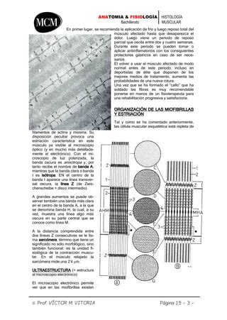 Tejido Muscular Mcm Pdf