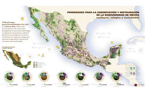 Sitios prioritarios para la restauración Biodiversidad Mexicana