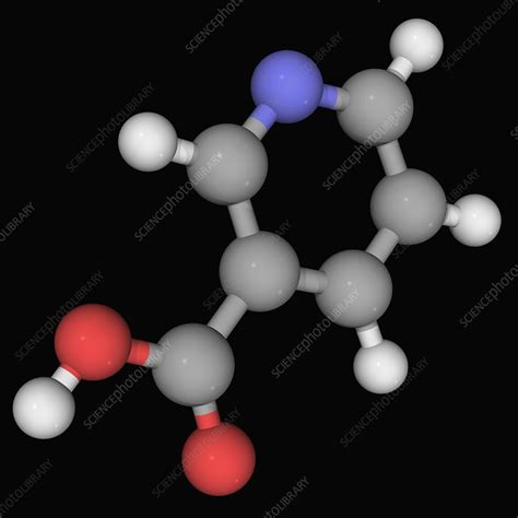 Vitamin B3 Nicotinic Acid Molecule Stock Image F004 6095 Science