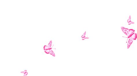 Borboletas Butterflies Sticker - Borboletas Butterflies Butterfly - Discover & Share GIFs