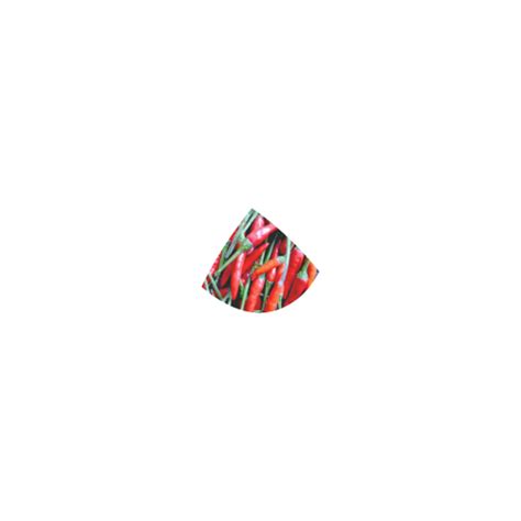 Red Chili Custom Bikini Swimsuit ID D