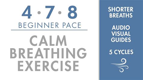 4 7 8 Calm Breathing Exercise Beginner Pace Short And Easy Breaths Simple Pranayama Exercise