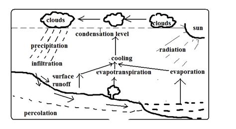 Hydrological Water Cycle Knec Tvet Cdacc Study Materials