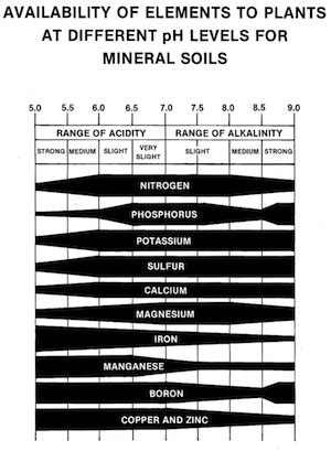 Soil pH and why it matters