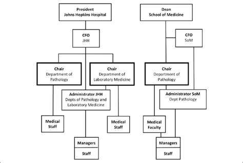 Org Chart Laboratory