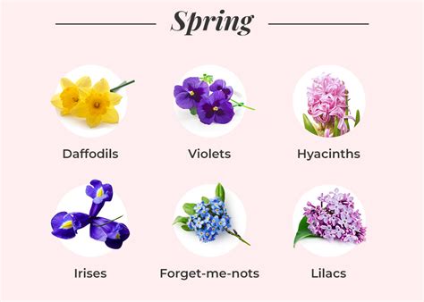 What Flowers Are In Season? A Seasonal Flower Guide