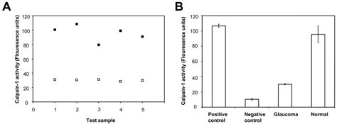 A Calpain 1 Enzymatic Activity As Relative Fluorescence Units From