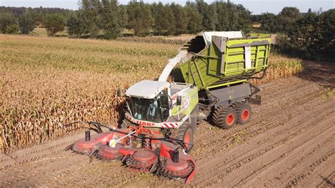 Claas Jaguar Field Shuttle Loonwerken De Bruyne Mais Hakselen