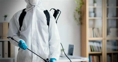 25 Best Pest Control Services In Singapore Singapore Ofw