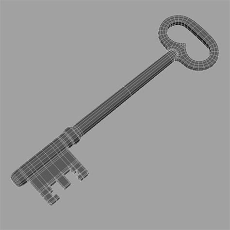 Skeleton Key 3d Model