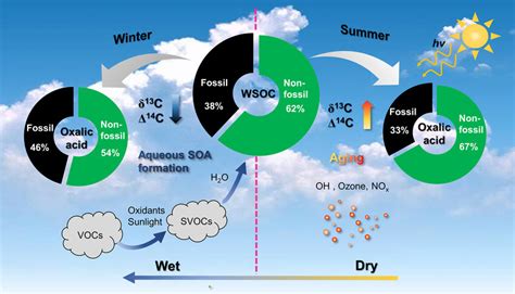 Schematic Of The Atmospheric Fates Of Secondary Organic Aerosols Soas