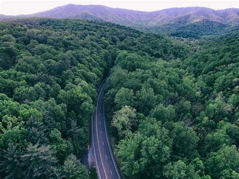 Uncover The Best Hiking Trails In Virginia: Hidden Gems For Adventure ...