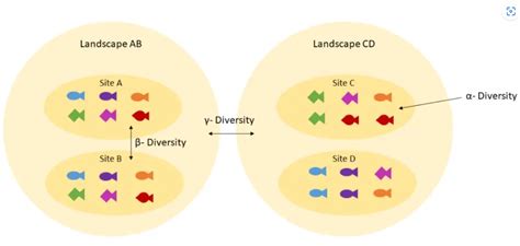 Hands On Calculating α And β Diversity From Microbiome Taxonomic Data