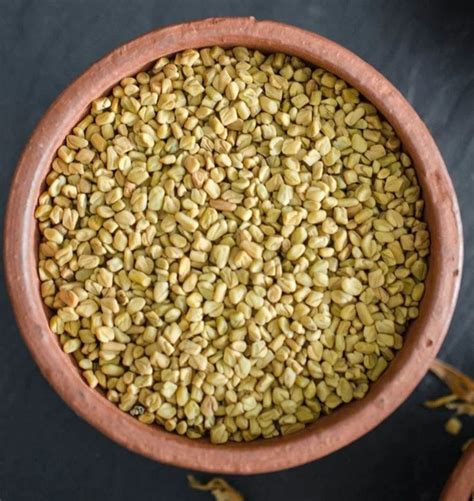 Fenugreek Methi Seeds At Rs 190kg Methi Dana In Nawanshahr Id