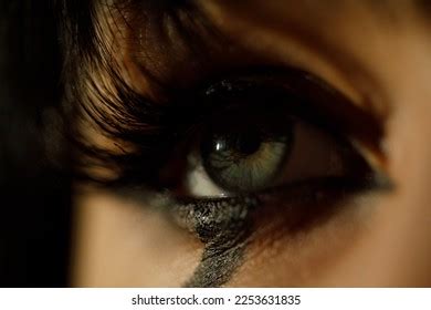 Extremely Long Eyelashes Images Stock Photos D Objects