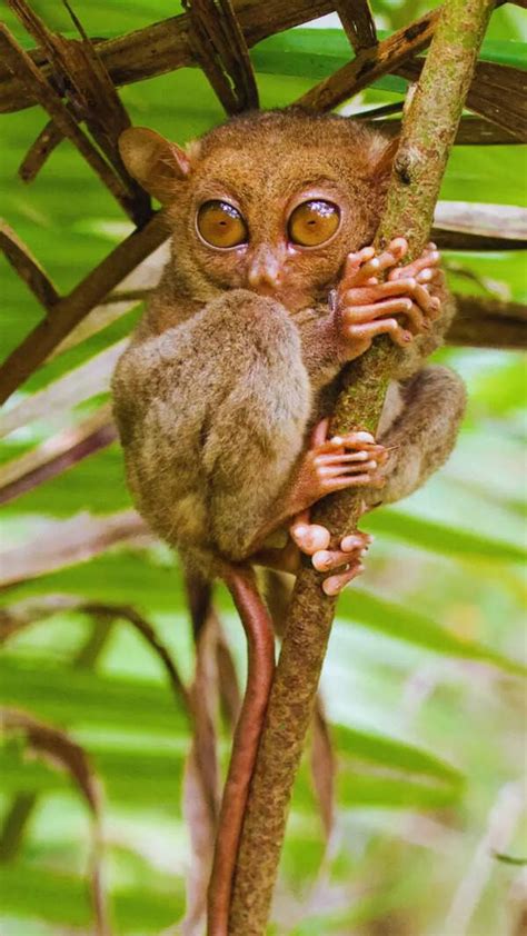 Do You Masturbate While Watching Porn Ask Yourself These 5 Questions