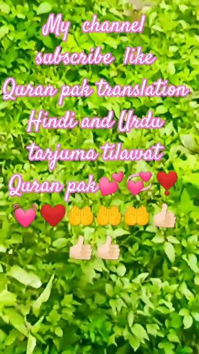 Quran Pak Translation Hindi And Urdu Tarjuma Tilawat Quran Pak 💕💕💓 ️ ️💓