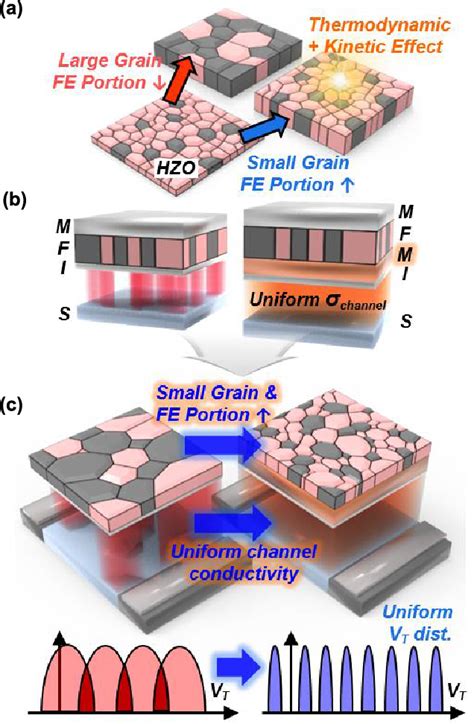 Figure 1 From Design Guidelines Of Hafnia Ferroelectrics And Gate Stack