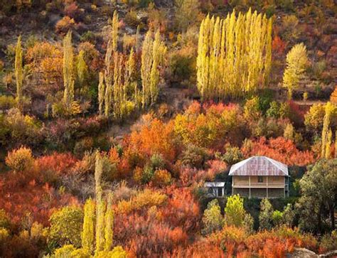 عکس طبیعت پاییزی شمال ایران کامل مولیزی