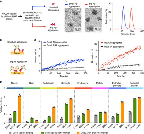 Preferential Association Between A Aggregates And Exosomes A