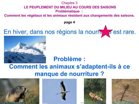 PPT Chapitre 3 LE PEUPLEMENT DU MILIEU AU COURS DES SAISONS Probl