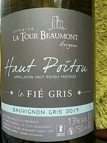 Domaine La Tour Beaumont Le Fi Gris Haut Poitou Vivino Us