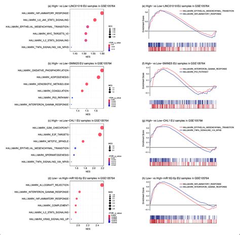 The GSEA Analysis Of Hsa MiR 182 5p And Its Targets In EU Samples The