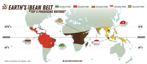 Earth S Coffee Bean Belt Infographic