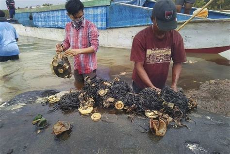 Limbah Plastik Bahaya Dilarang Dikirim Ke Negara Berkembang Republika