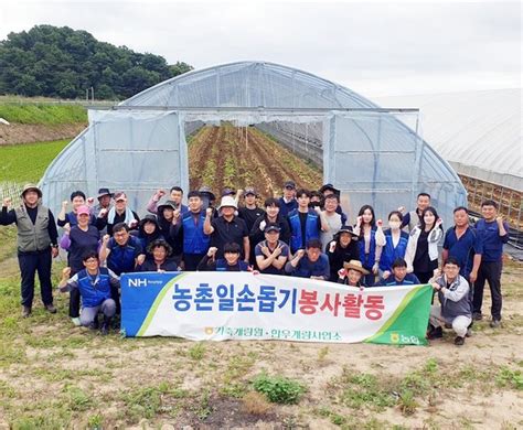 농협경제지주 축산경제 축산농가 맞춤형 컨설팅 현장지원 및 일손돕기 네이트 뉴스