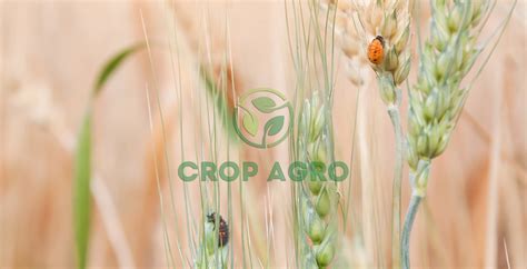 Оперкот Акро инсектицид -КропАгро