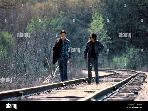 C. THOMAS HOWELL, RALPH MACCHIO, THE OUTSIDERS, 1983 Stock Photo - Alamy