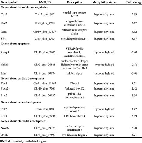 Genes involved in functional clusters for DMR associated genes ... 