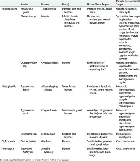 Protozoan Parasites That Cause Human Disease Download Table