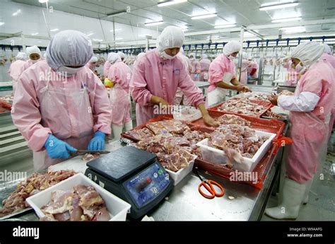 Chicken Plant Workers Hi Res Stock Photography And Images Alamy