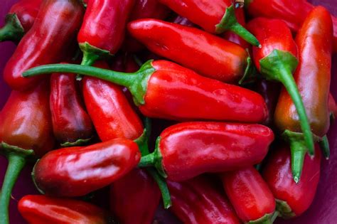 Peri Peri Pepper Guide Heat Flavor Uses PepperScale 47 OFF