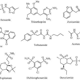 The structure of approved sulfonamide drugs. | Download Scientific Diagram