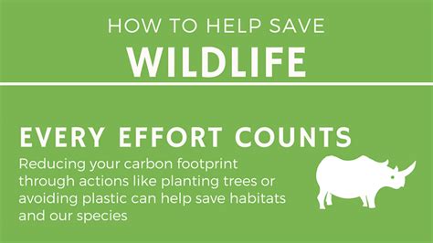 How To Help Save Wildlife