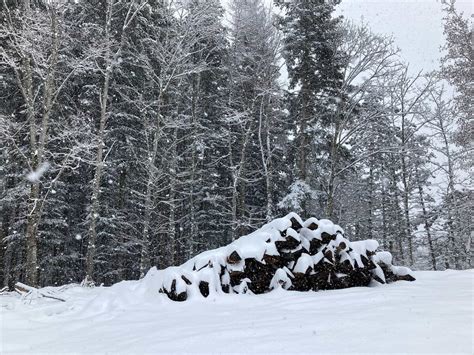 La Neve In Pratomagno