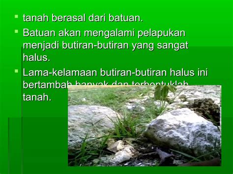 Faktor Yang Mempengaruhi Pembentukan Tanah 7