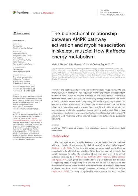 PDF The Bidirectional Relationship Between AMPK Pathway Activation