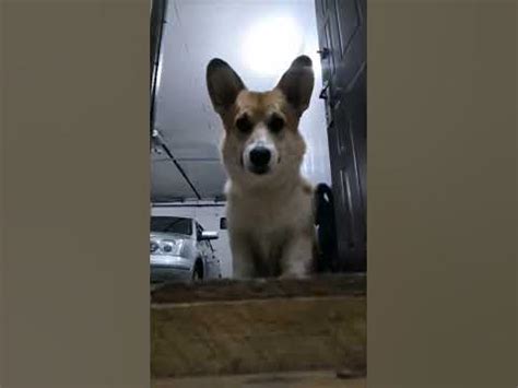 кто здесь??? - YouTube