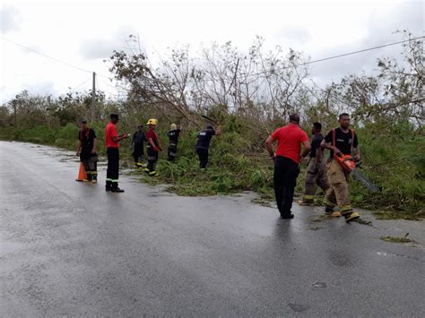 Bomberos retiran árboles caídos en carretera Verón Otra Banda BavaroNews